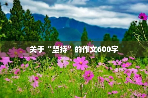 关于“坚持”的作文600字 关于“坚持”的作文600字