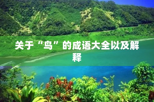 关于“鸟”的成语大全以及解释