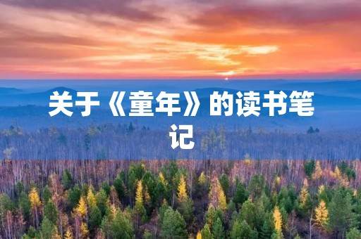 关于《童年》的读书笔记 关于《童年》的读书笔记