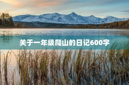 关于一年级爬山的日记600字 关于一年级爬山的日记600字