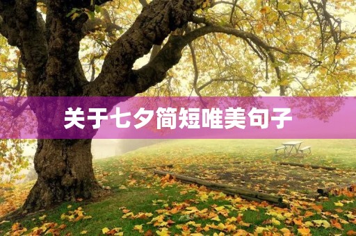 关于七夕简短唯美句子
