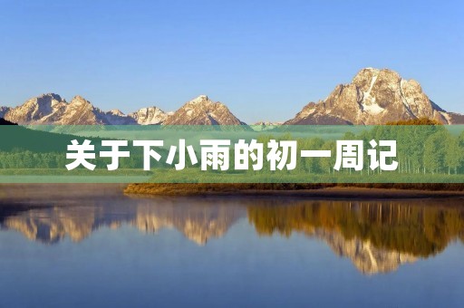 关于下小雨的初一周记