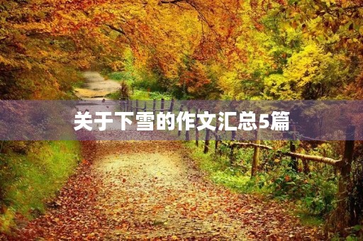 关于下雪的作文汇总5篇