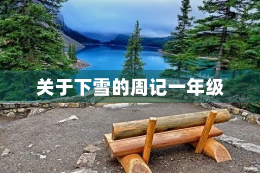 关于下雪的周记一年级