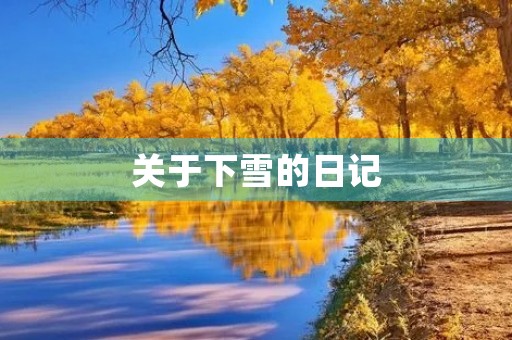 关于下雪的日记 关于下雪的日记