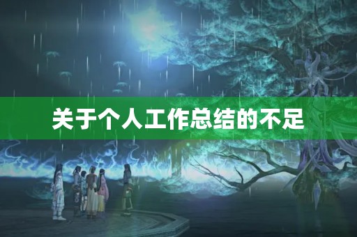 关于个人工作总结的不足