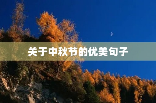 关于中秋节的优美句子(关于中秋节的优美句子段落)