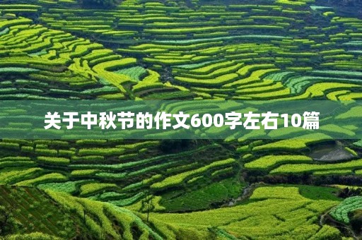 关于中秋节的作文600字左右10篇