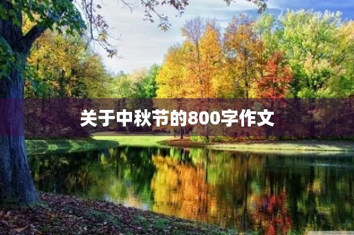 关于中秋节的800字作文