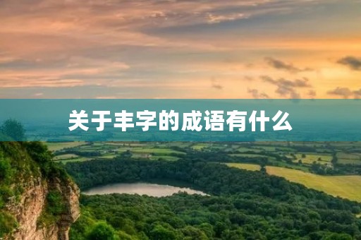 关于丰字的成语有什么