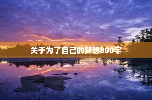 关于为了自己的梦想800字 关于为了自己的梦想800字