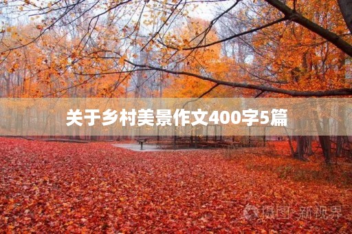 关于乡村美景作文400字5篇
