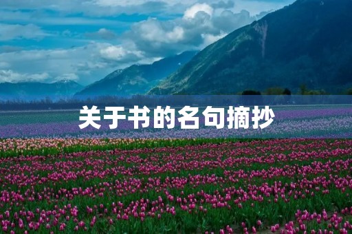 关于书的名句摘抄(关于书籍的名言名句摘抄)