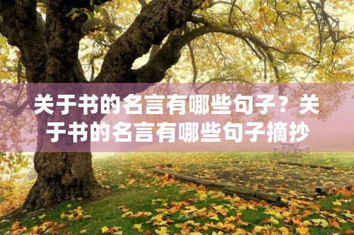 关于书的名言有哪些句子?关于书的名言有哪些句子摘抄 关于书的名言有哪些句子?关于书的名言有哪些句子摘抄