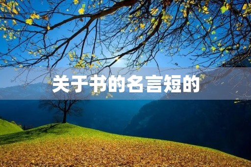 关于书的名言短的(关于书的名言名句短一些)
