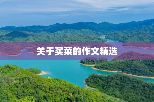 关于买菜的作文精选