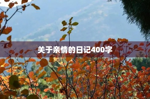 关于亲情的日记400字