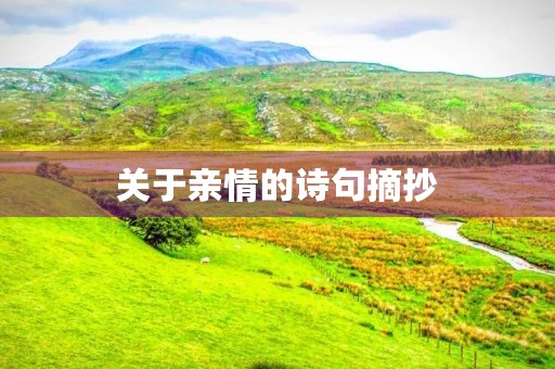 关于亲情的诗句摘抄,关于亲情的诗句摘抄20句 关于亲情的诗句摘抄,关于亲情的诗句摘抄20句