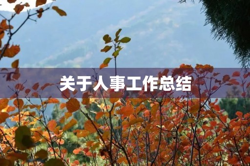 关于人事工作总结