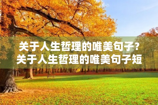 关于人生哲理的唯美句子?关于人生哲理的唯美句子短句 关于人生哲理的唯美句子?关于人生哲理的唯美句子短句