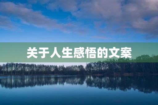 关于人生感悟的文案，关于人生感悟的文案句子