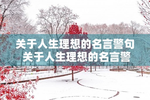 关于人生理想的名言警句 关于人生理想的名言警句摘抄