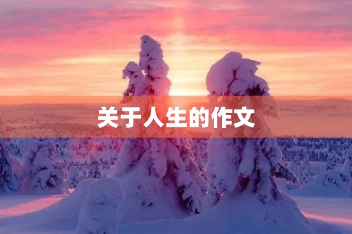 关于人生的作文