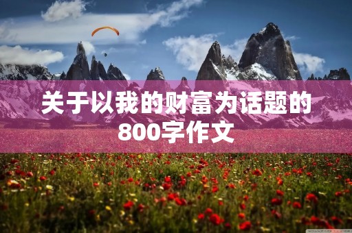 关于以我的财富为话题的800字作文 关于以我的财富为话题的800字作文
