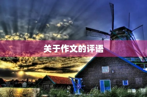 关于作文的评语 关于作文的评语