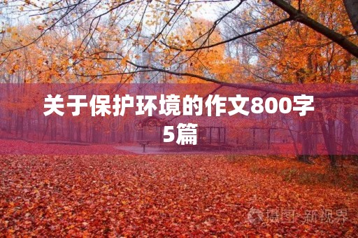 关于保护环境的作文800字5篇 关于保护环境的作文800字5篇