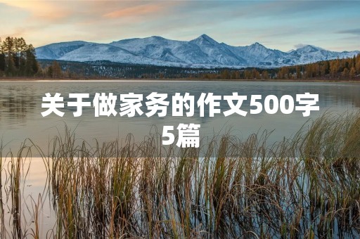 关于做家务的作文500字5篇