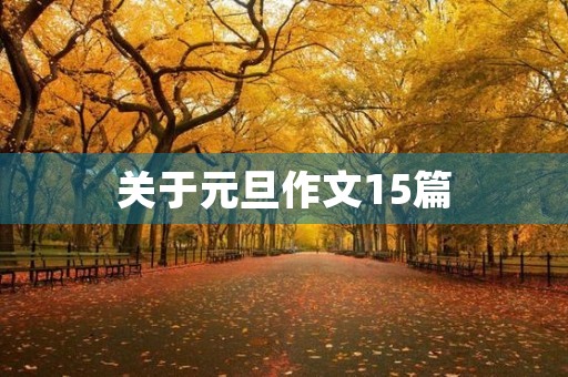关于元旦作文15篇