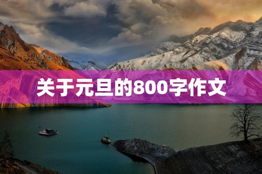 关于元旦的800字作文