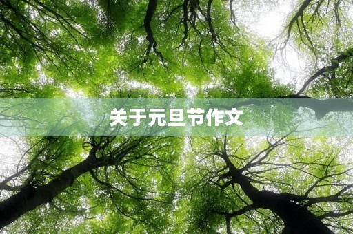 关于元旦节作文