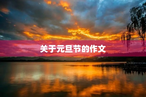 关于元旦节的作文 关于元旦节的作文