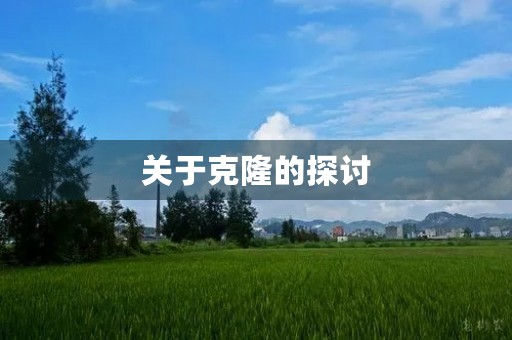 关于克隆的探讨