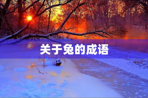 关于兔的成语 关于兔的成语
