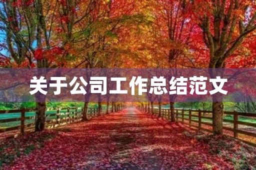 关于公司工作总结范文 关于公司工作总结范文
