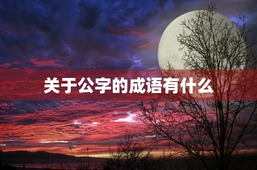 关于公字的成语有什么