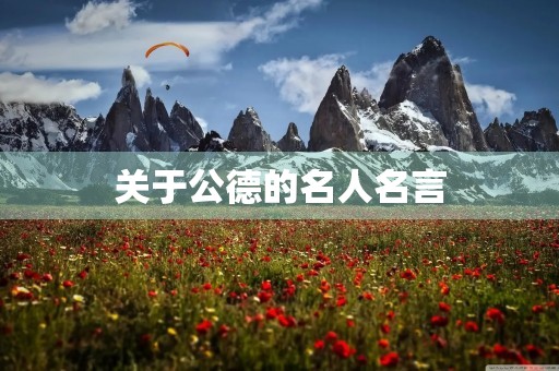关于公德的名人名言(关于公德的名人名言事例)
