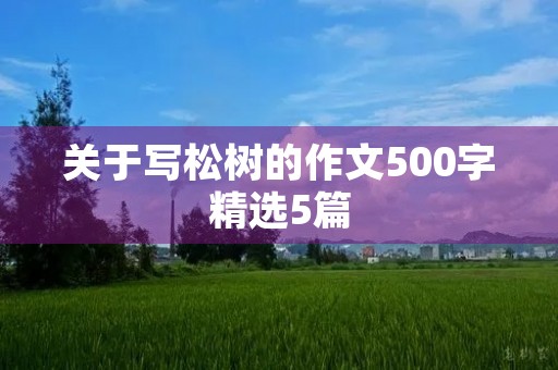 关于写松树的作文500字精选5篇 关于写松树的作文500字精选5篇