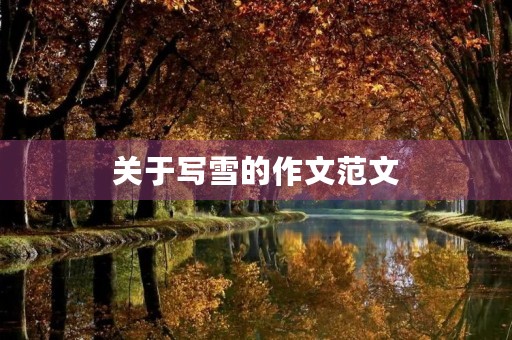 关于写雪的作文范文
