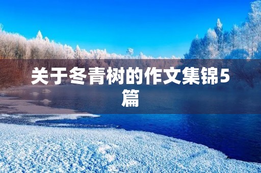 关于冬青树的作文集锦5篇