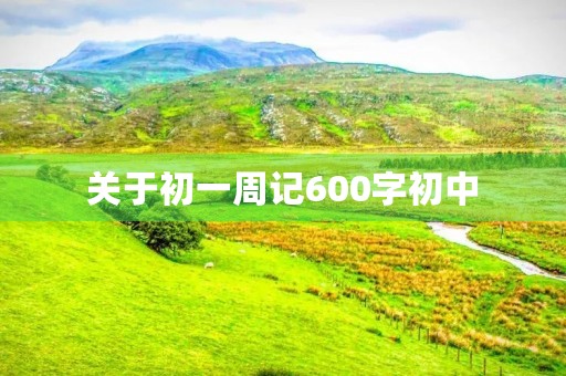 关于初一周记600字初中