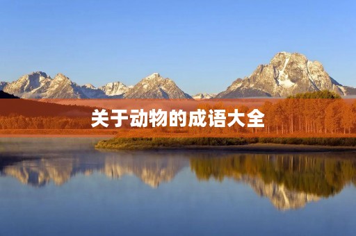 关于动物的成语大全
