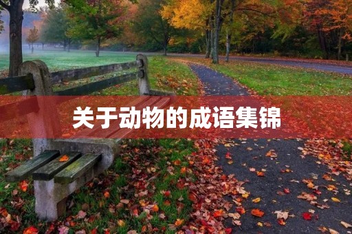 关于动物的成语集锦