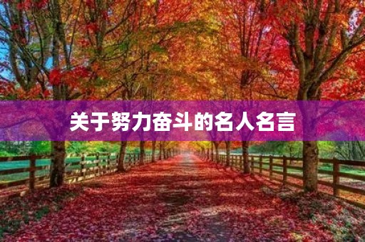 关于努力奋斗的名人名言,关于努力奋斗的名人名言适合学生 关于努力奋斗的名人名言,关于努力奋斗的名人名言适合学生
