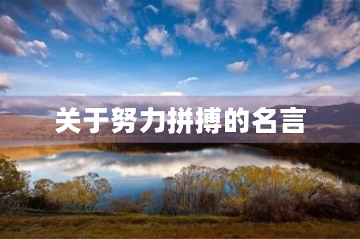 关于努力拼搏的名言(关于努力拼搏的名言名句)