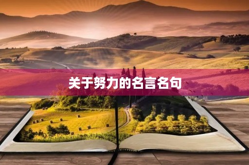 关于努力的名言名句，关于努力的名言名句带作者