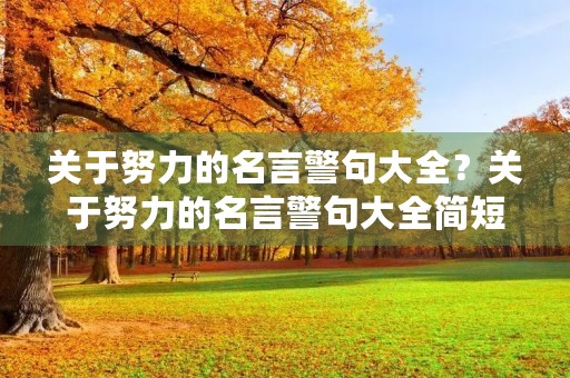 关于努力的名言警句大全？关于努力的名言警句大全简短